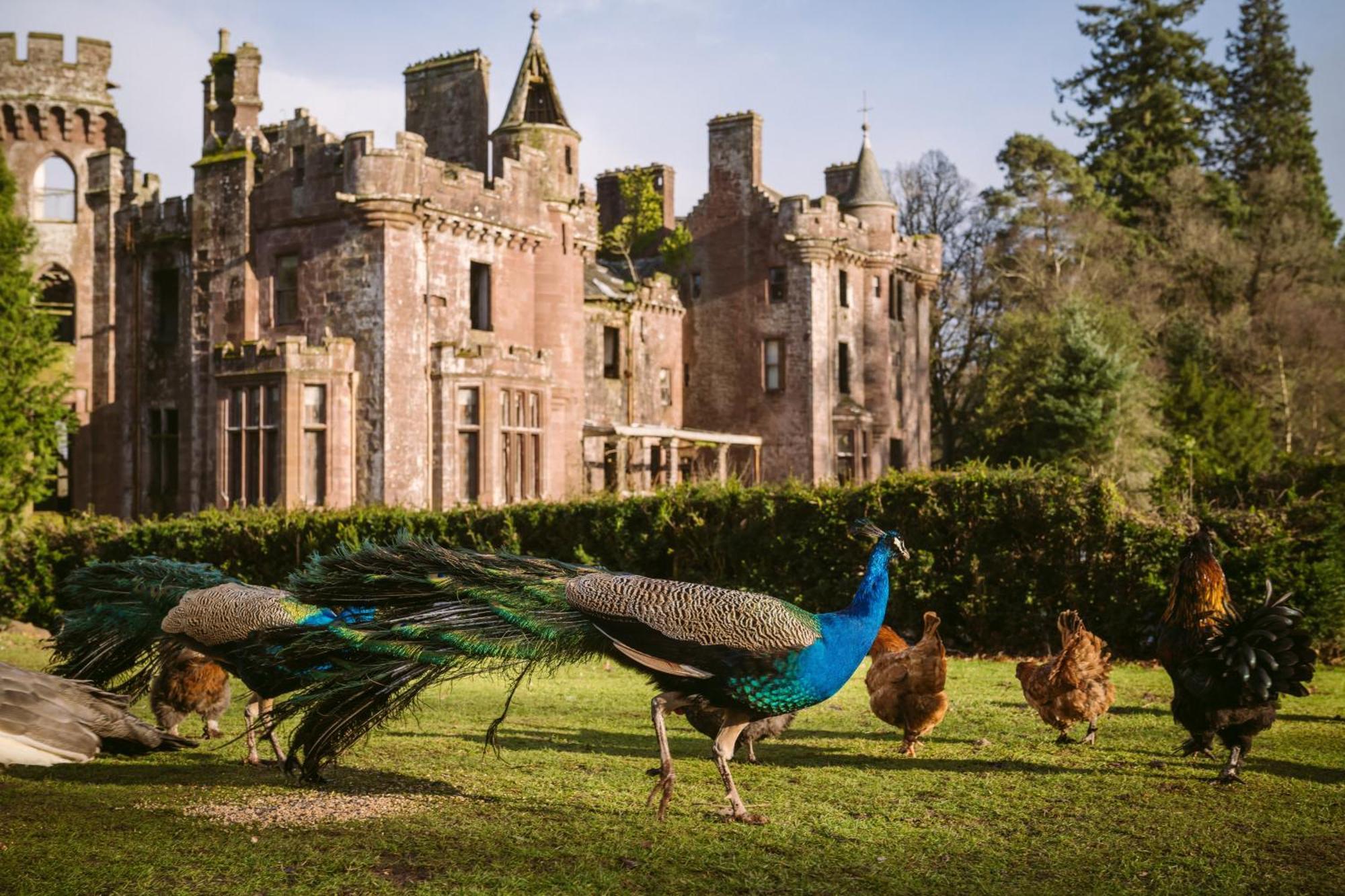 Luxury Woodland Lodge Retreat At Culdees Castle Crieff Bagian luar foto